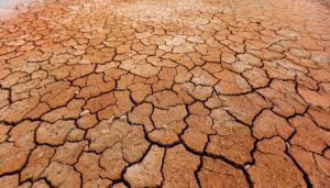 Domanda di aiuto per i danni causati dalla siccità 2022, verificatasi nel periodo dal 1° maggio al 31 agosto 2022.